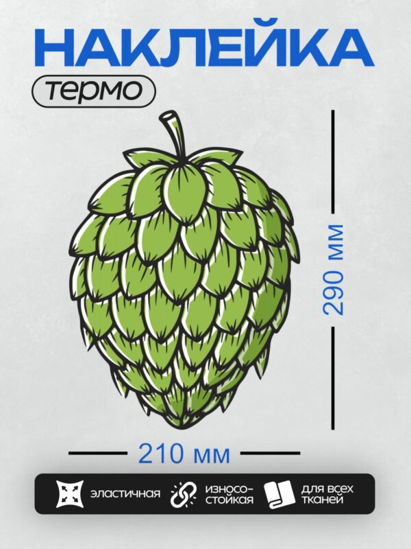 Термонаклейка на одежду DTF / На изображении показана шишка хмеля — растение, используемое в пивоварении и медицине.