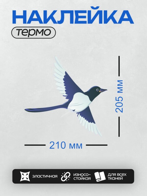 Термонаклейка на одежду DTF / Сорока в полёте с расправленными крыльями.