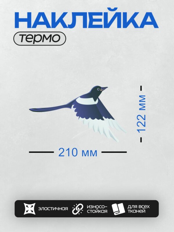 Термонаклейка на одежду DTF / Сорока в полёте с расправленными крыльями.