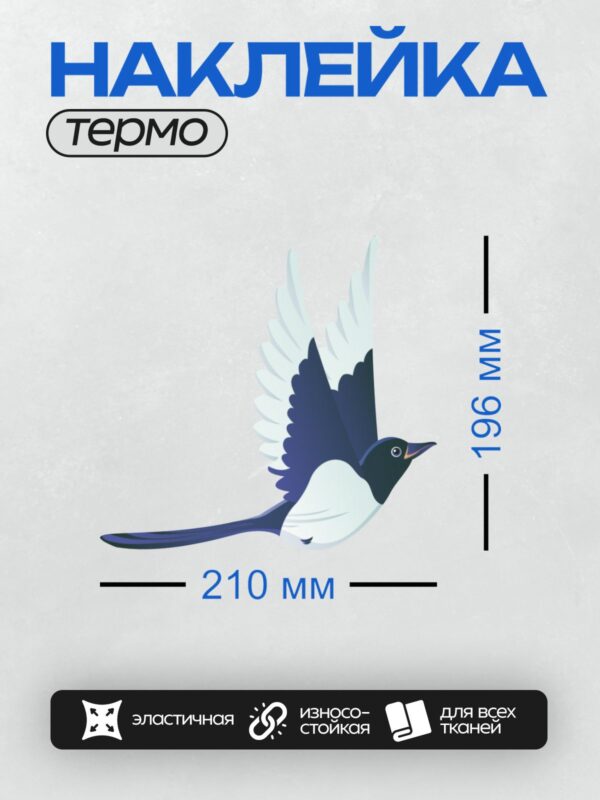 Термонаклейка на одежду DTF / Сорока в полете с расправленными крыльями.