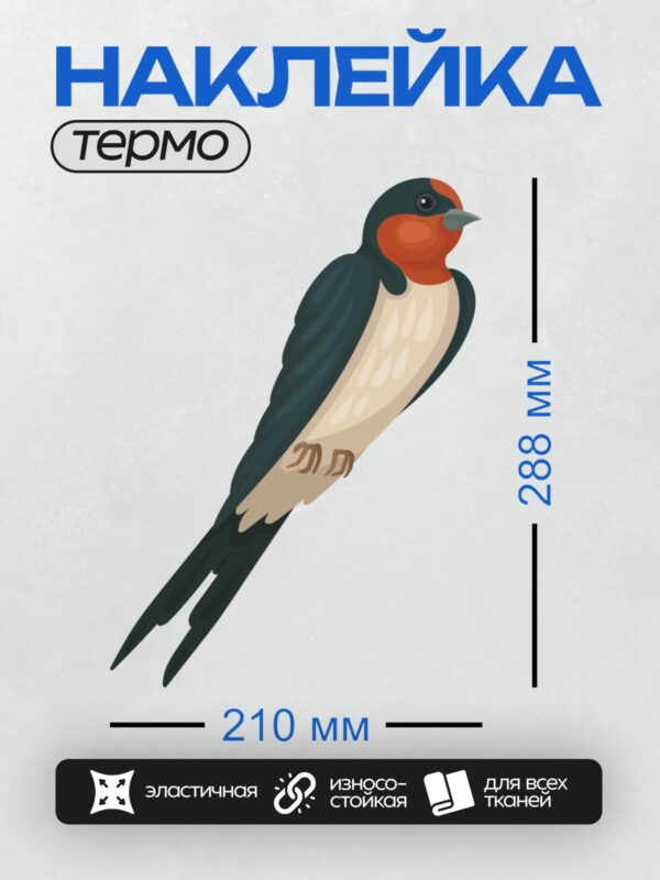 Термонаклейка на одежду DTF / Ласточка с красной грудкой и синим оперением.