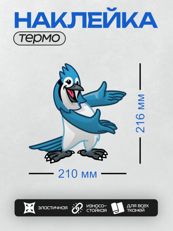 Термонаклейка на одежду DTF / Голубая сойка в мультяшном стиле, с ярким выражением лица.
