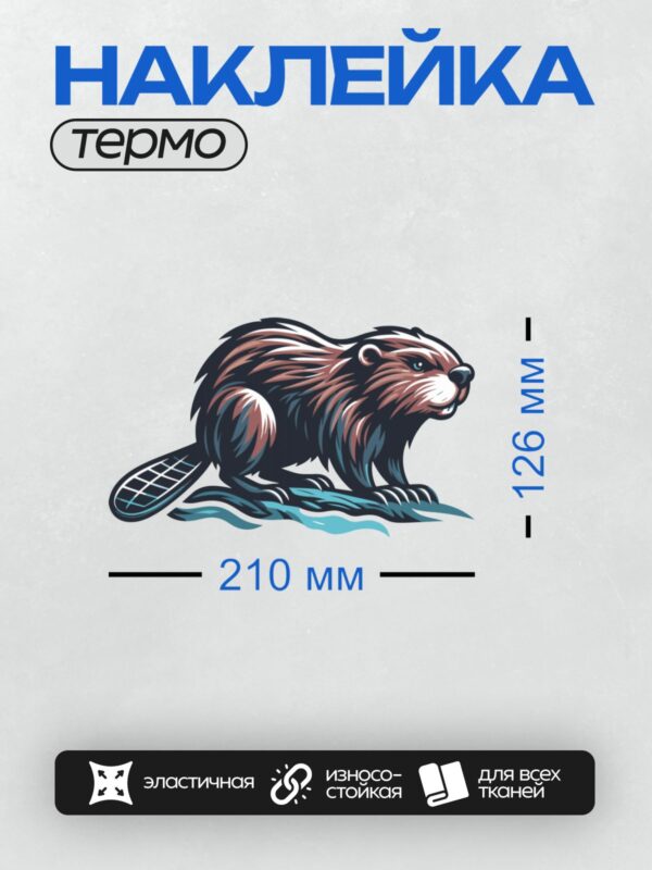 Термонаклейка на одежду DTF / Стилизованный бобр с ярким хвостом, векторное изображение.