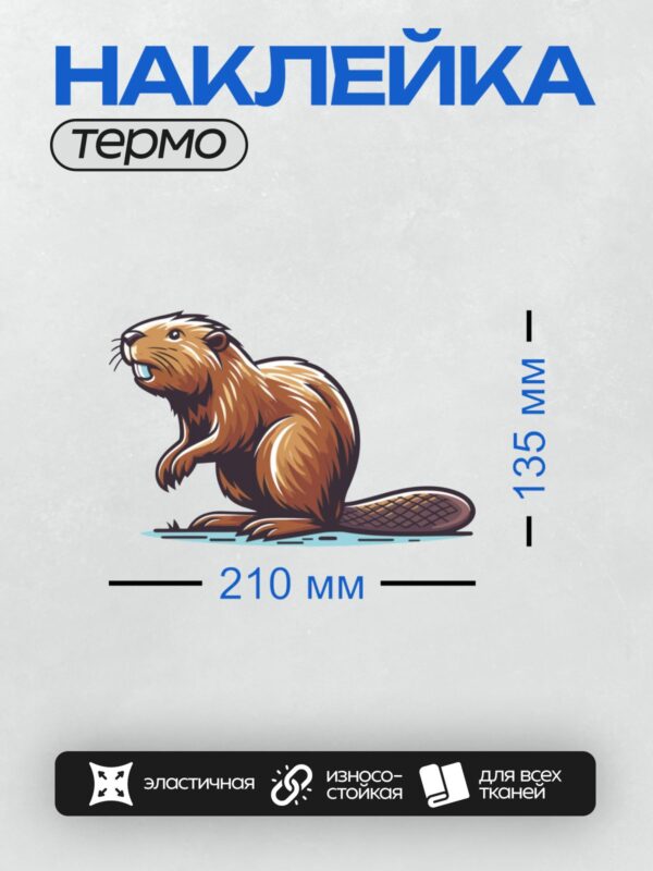 Термонаклейка на одежду DTF / Мультяшный бобр с пушистым хвостом и острыми зубами.