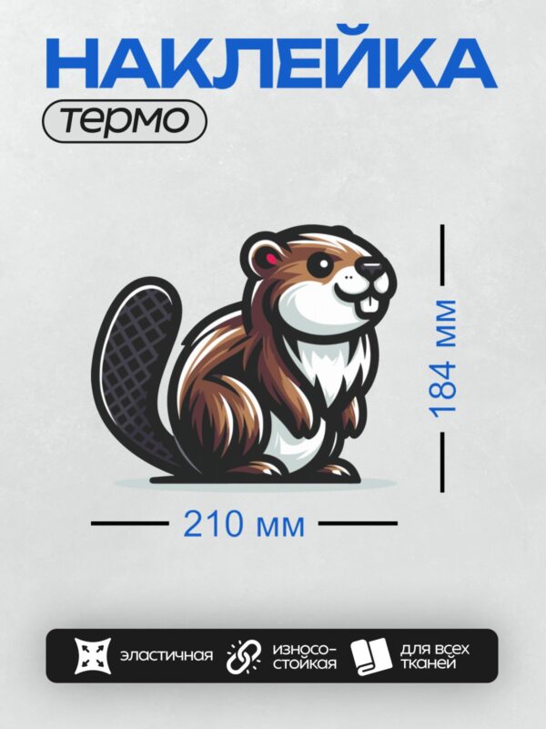 Термонаклейка на одежду DTF / Мультяшный бобр с пушистым хвостом и большими зубами.