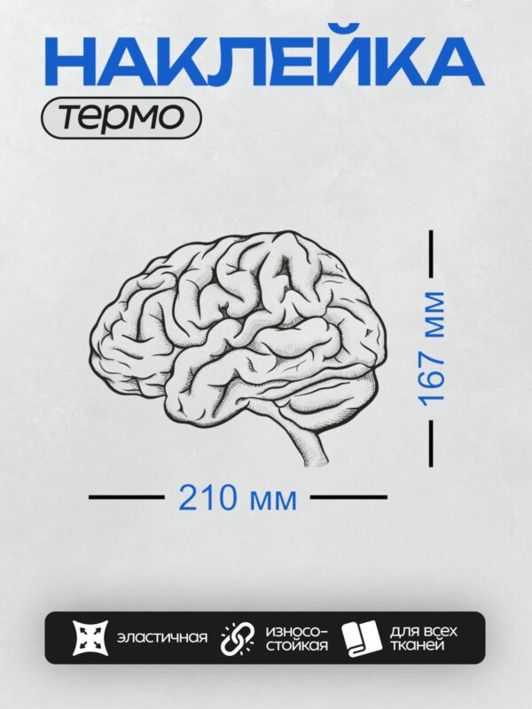 Термонаклейка на одежду DTF / Черно-белый рисунок человеческого мозга.