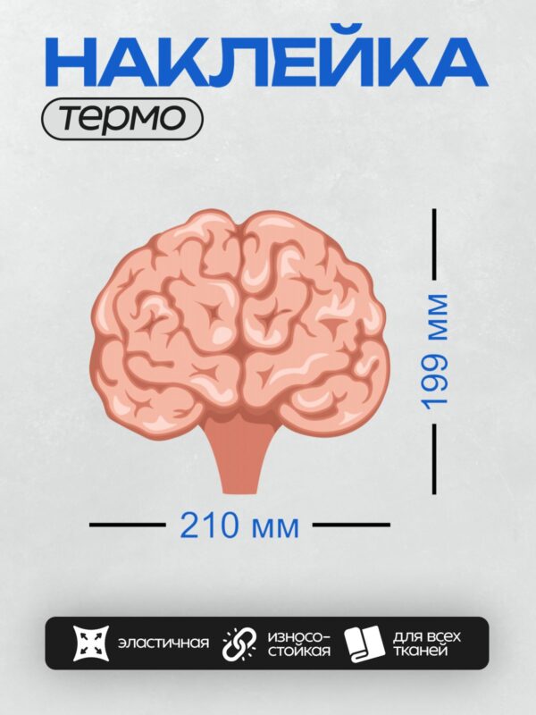 Термонаклейка на одежду DTF / Иллюстрация человеческого мозга на белом фоне.