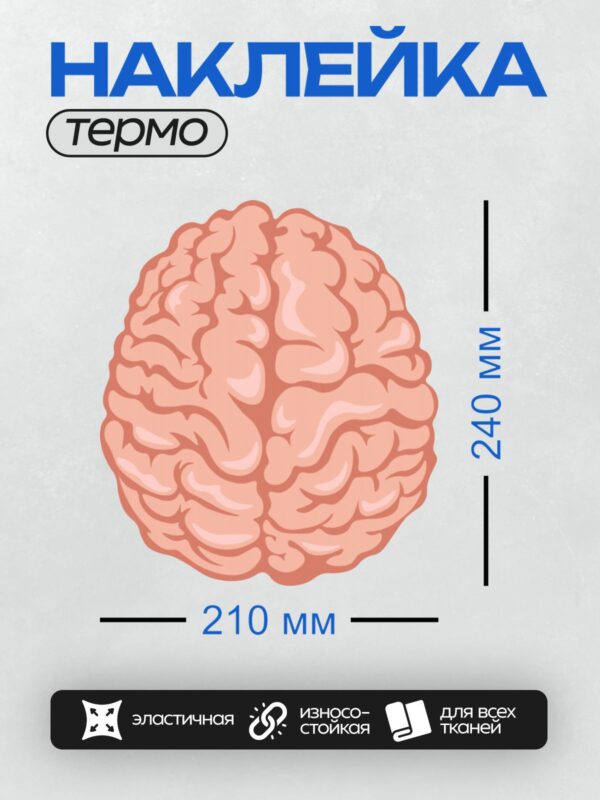 Термонаклейка на одежду DTF / Иллюстрация человеческого мозга на прозрачном фоне.