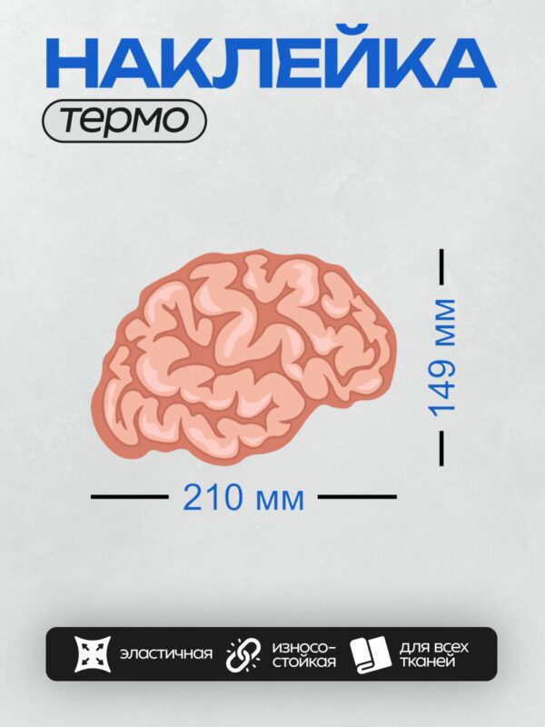 Термонаклейка на одежду DTF / Схематичное изображение человеческого мозга.