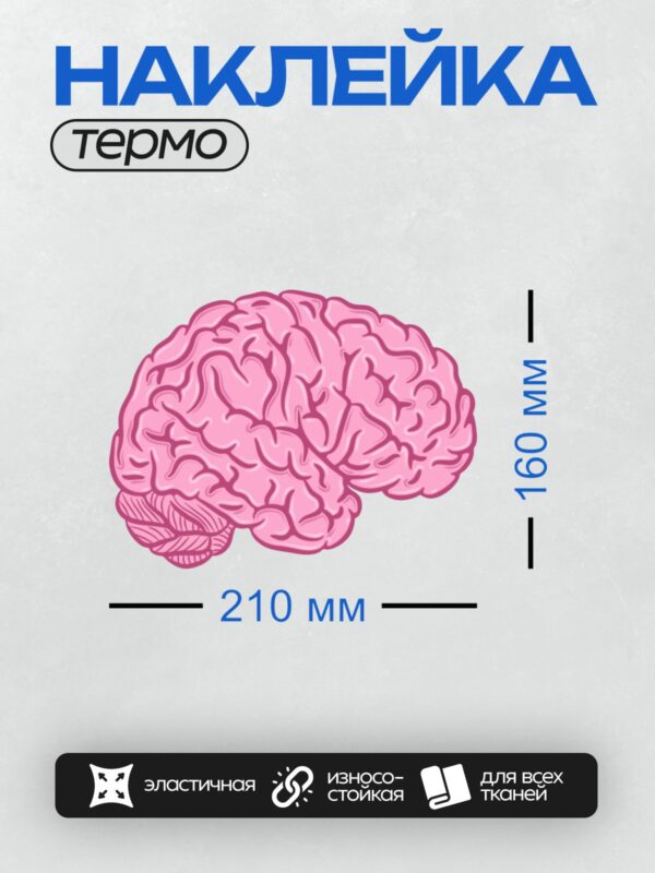 Термонаклейка на одежду DTF / Розовый мозг человека, стилизованная иллюстрация.