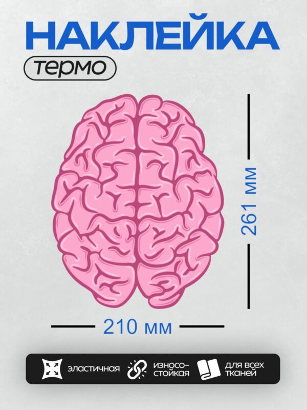 Термонаклейка на одежду DTF / Розовый рисунок человеческого мозга.