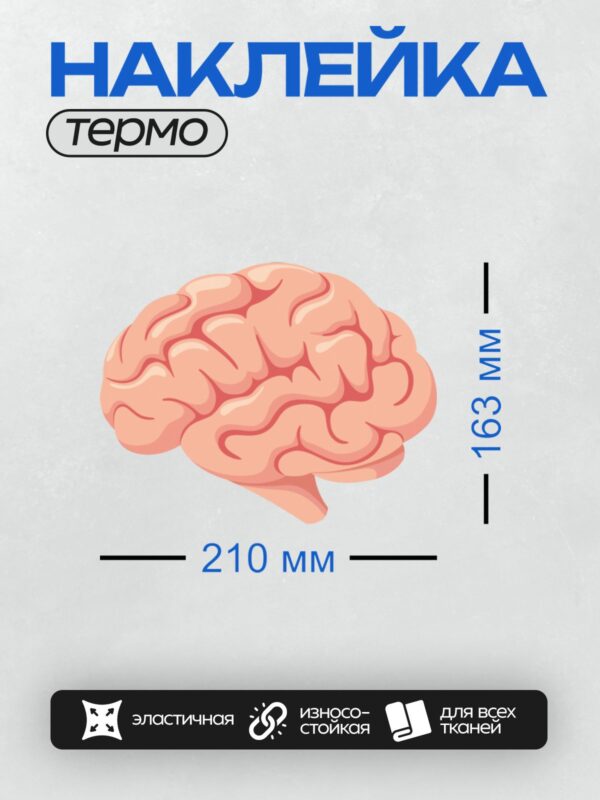 Термонаклейка на одежду DTF / Изображение человеческого мозга в розово-оранжевых тонах.