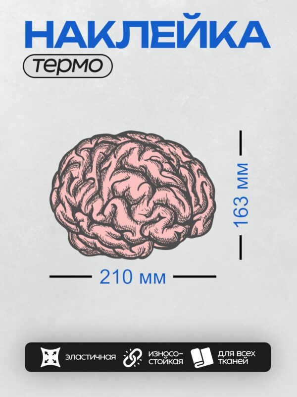 Термонаклейка на одежду DTF / Рисунок человеческого мозга в розовых тонах.