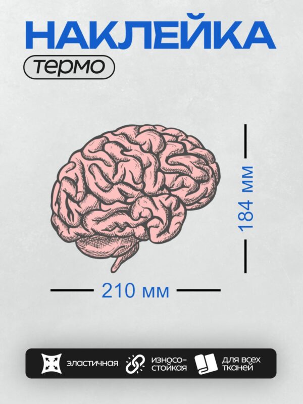 Термонаклейка на одежду DTF / Рисунок человеческого мозга в розовых тонах.