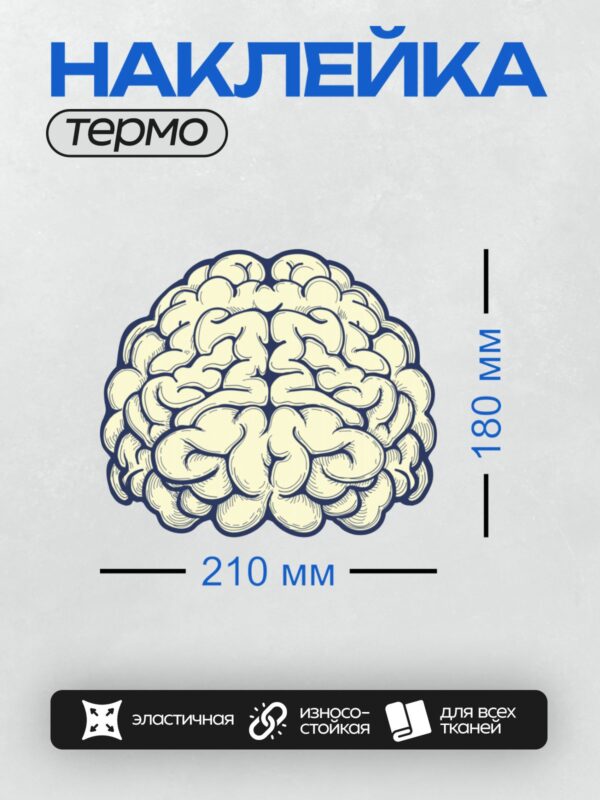 Термонаклейка на одежду DTF / Мультяшный мозг с извилинами, нарисованный в стиле скетча.