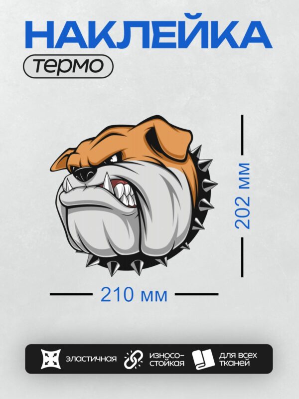 Термонаклейка на одежду DTF / Мультяшный бульдог с агрессивным выражением морды.