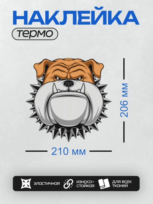 Термонаклейка на одежду DTF / Злой бульдог с шипастым ошейником.