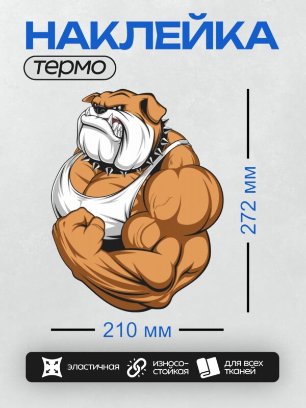Термонаклейка на одежду DTF / Мускулистый мультяшный бульдог в майке и с шипастым ошейником.