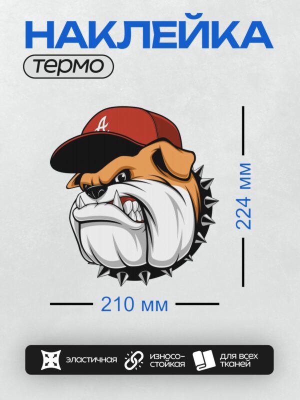 Термонаклейка на одежду DTF / Стилизованный бульдог в красной бейсболке с буквой "А".