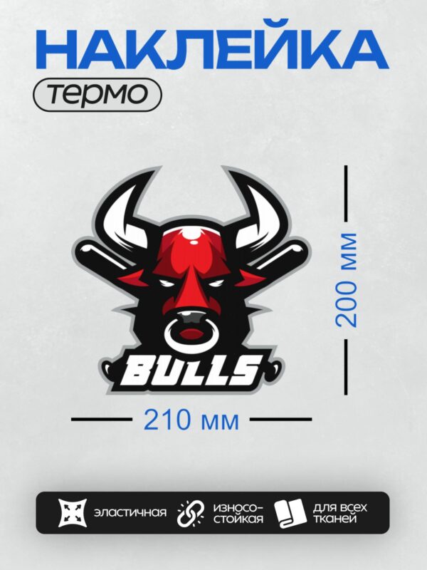 Термонаклейка на одежду DTF / Логотип с головой быка, надпись "BULLS".