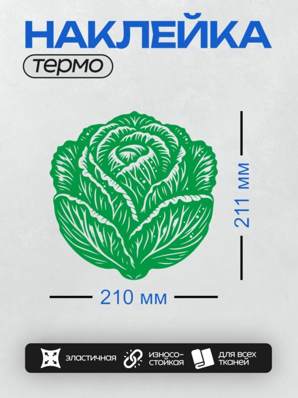 Термонаклейка на одежду DTF / Стилизованное изображение кочана капусты с белыми прожилками.