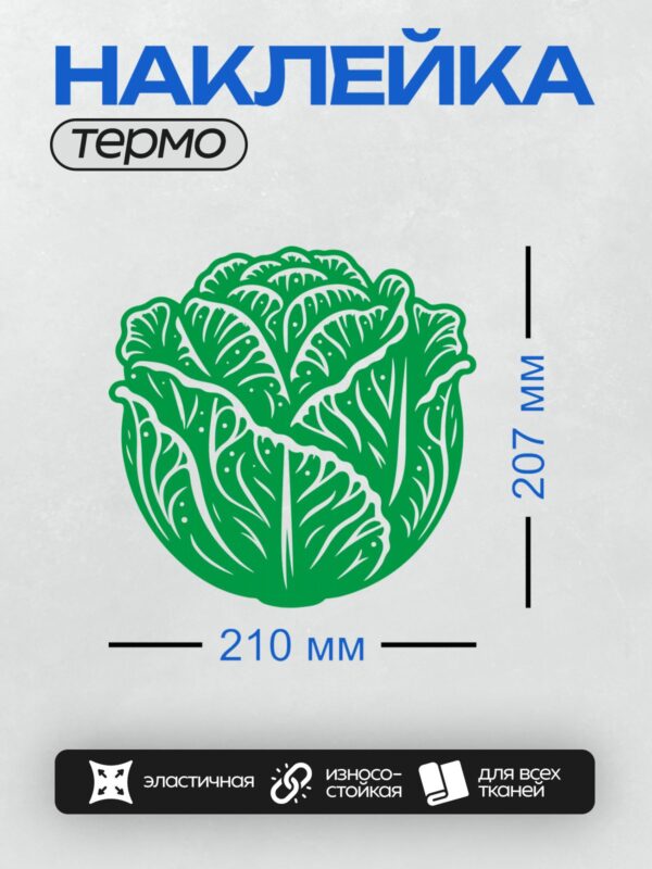 Термонаклейка на одежду DTF / Стилизованное изображение зелёной капусты с листьями.