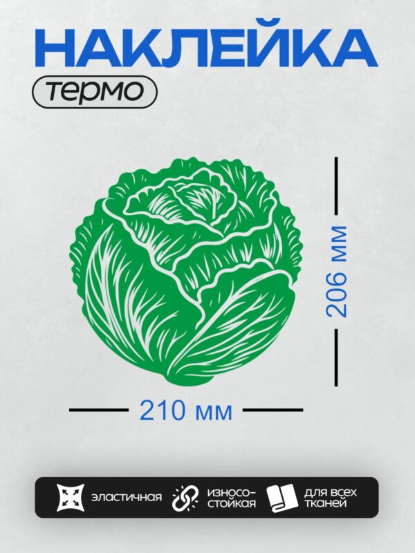 Термонаклейка на одежду DTF / Зелёный кочан капусты с белыми контурами.