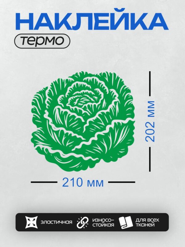 Термонаклейка на одежду DTF / Стилизованное изображение кочана капусты.