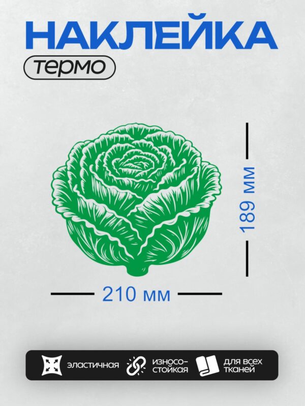 Термонаклейка на одежду DTF / Зелёный кочан капусты с белыми контурами.