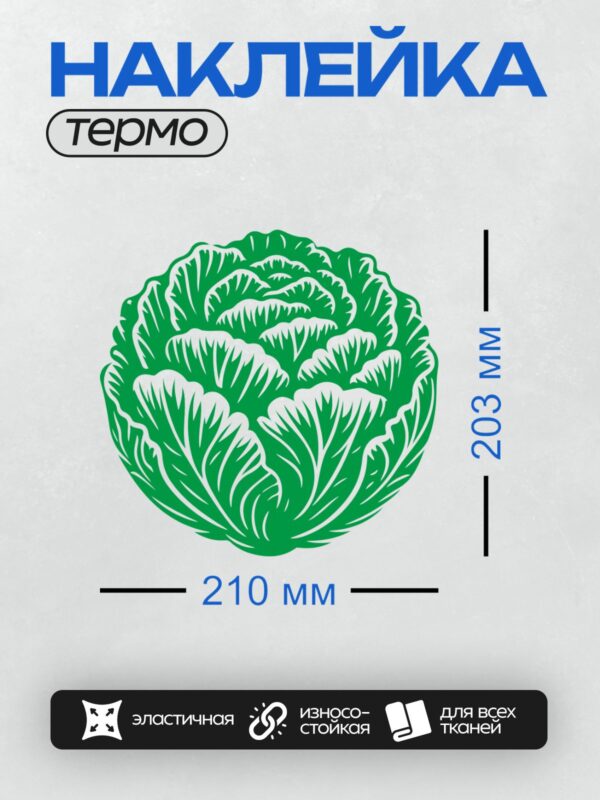 Термонаклейка на одежду DTF / Зеленая капуста с белыми контурами, стилизованный рисунок.
