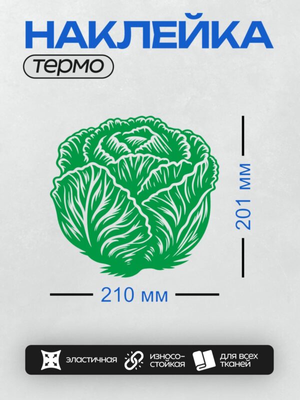 Термонаклейка на одежду DTF / Зеленая капуста, стилизованная под мультяшный рисунок.