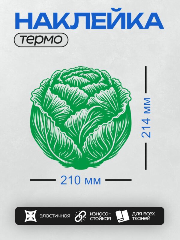 Термонаклейка на одежду DTF / Зеленая капуста, стилизованный рисунок с белыми контурами.