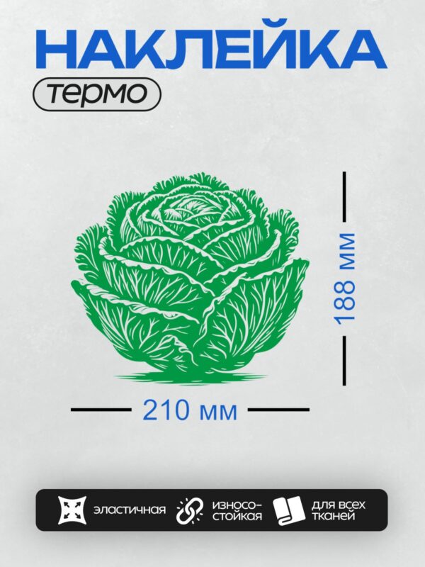 Термонаклейка на одежду DTF / Зеленая капуста с белыми прожилками, стилизованная.