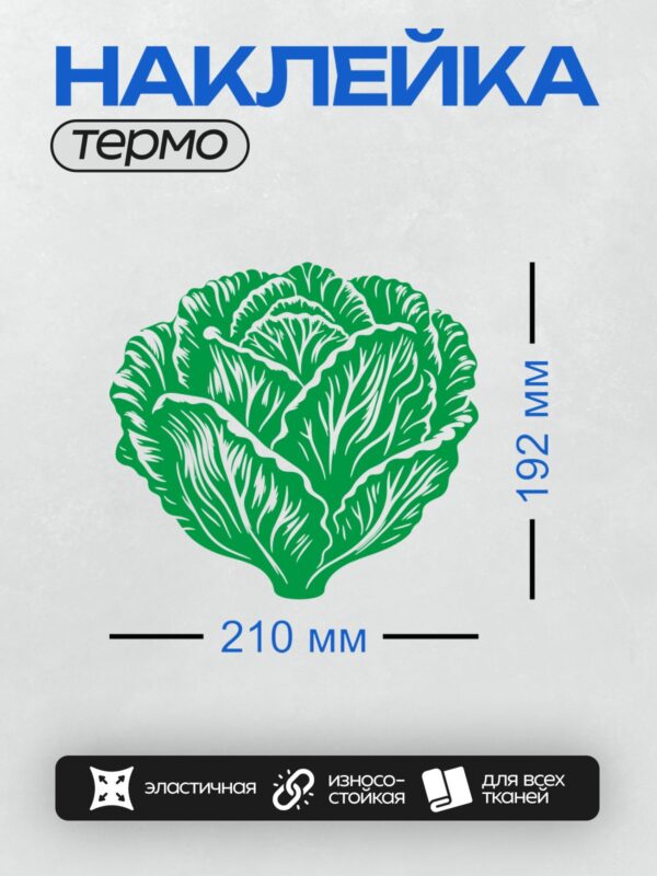 Термонаклейка на одежду DTF / На изображении представлена стилизованная капуста, выполненная в зелёных тонах с белыми контурами.