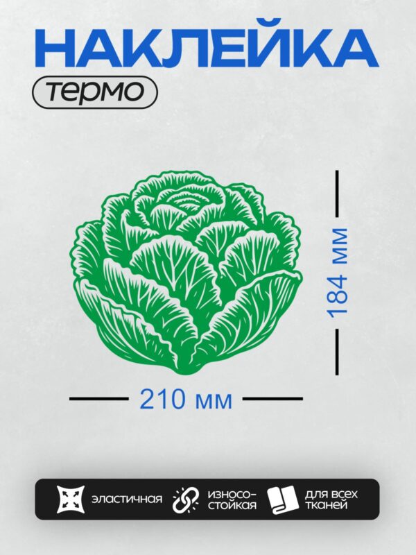 Термонаклейка на одежду DTF / Зеленая капуста в векторном стиле, стилизованная иллюстрация.