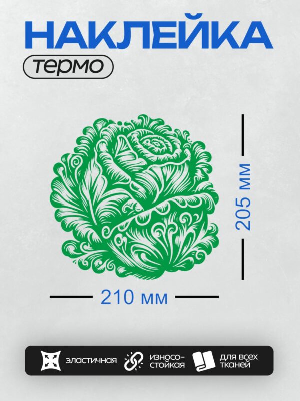 Термонаклейка на одежду DTF / Стилизованный рисунок кочана капусты в зелёных тонах.