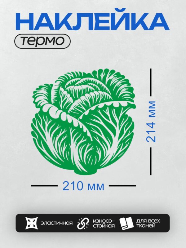 Термонаклейка на одежду DTF / Стилизованное изображение белокочанной капусты.