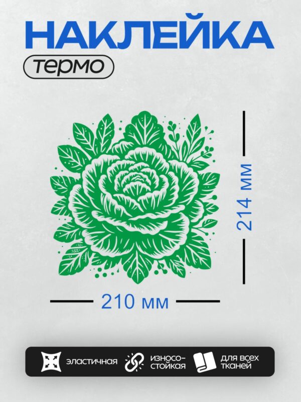 Термонаклейка на одежду DTF / Зеленый цветок, напоминающий розу, с листьями.
