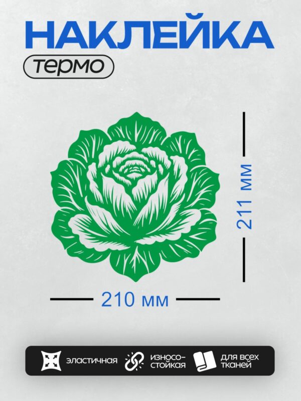Термонаклейка на одежду DTF / Стилизованное изображение капусты в зелёных и белых тонах.