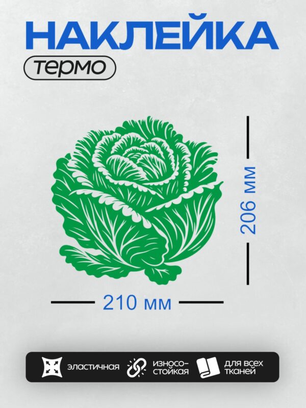 Термонаклейка на одежду DTF / Стилизованная капуста в мультяшном стиле, зелёная.