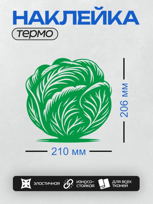 Термонаклейка на одежду DTF / Стилизованный зеленый кочан капусты с белыми линиями.