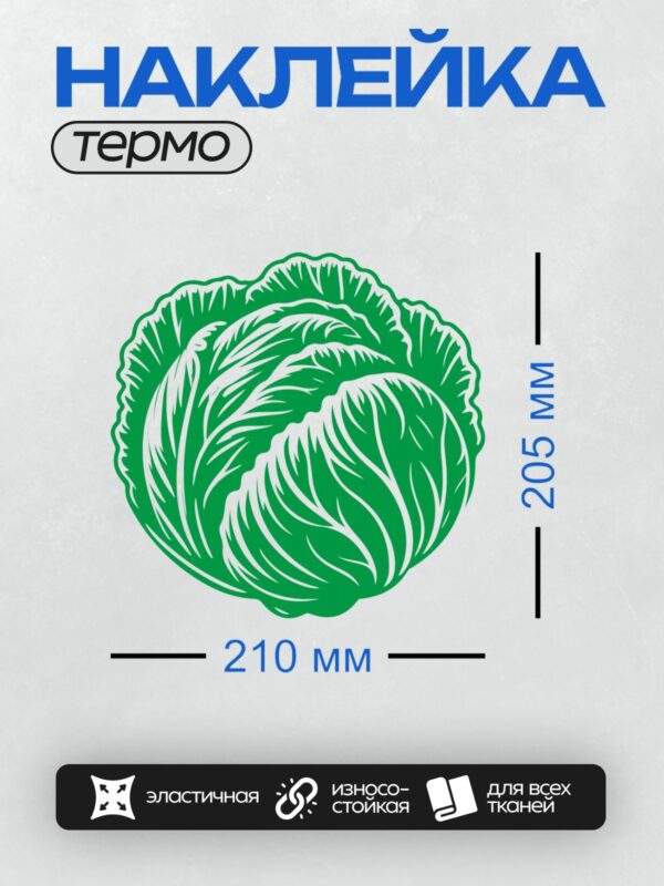 Термонаклейка на одежду DTF / Стилизованное изображение кочана капусты, зеленый цвет.