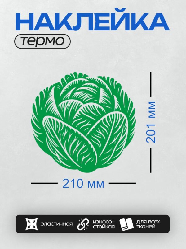 Термонаклейка на одежду DTF / Стилизованная зелёная капуста с детализированными листьями.