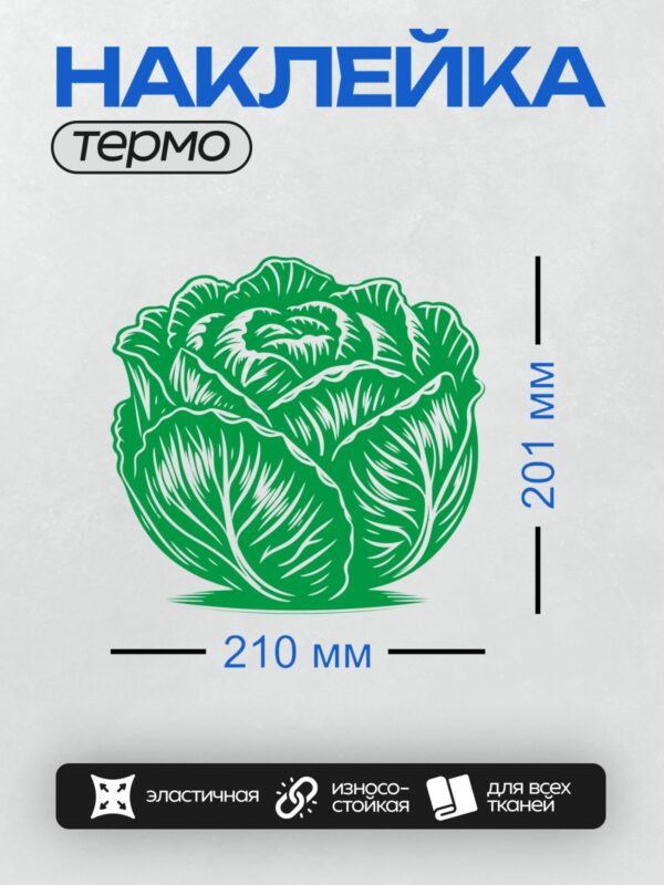 Термонаклейка на одежду DTF / Зелёный кочан капусты с белыми контурами.