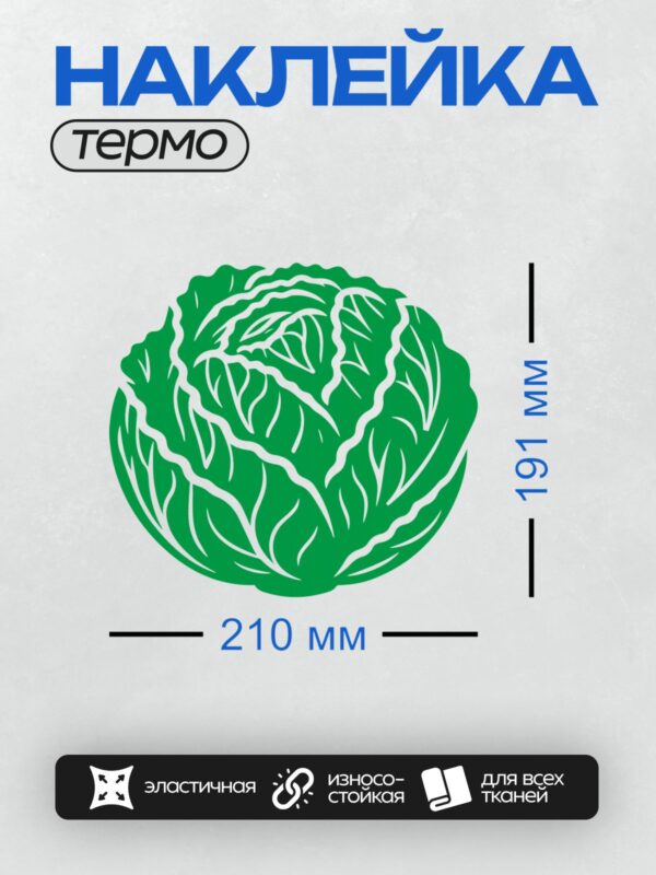 Термонаклейка на одежду DTF / Стилизованная капуста с белыми контурами на зелёном фоне.
