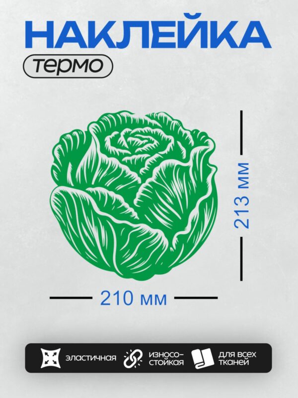 Термонаклейка на одежду DTF / Стилизованное изображение капусты, зелёно-белые цвета.