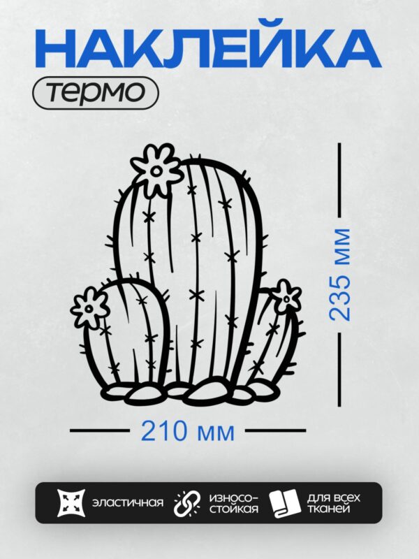 Термонаклейка на одежду DTF / Стилизованный кактус с цветами, черный контур.
