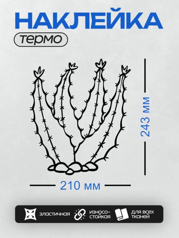 Термонаклейка на одежду DTF / Абстрактный рисунок кактуса с длинными колючками.