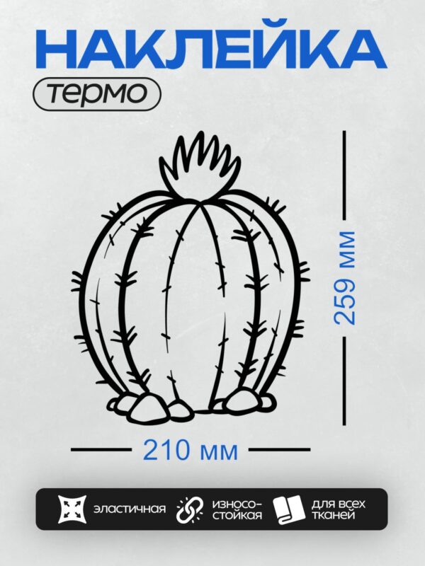 Термонаклейка на одежду DTF / На изображении нарисован кактус с колючками и цветком на вершине.