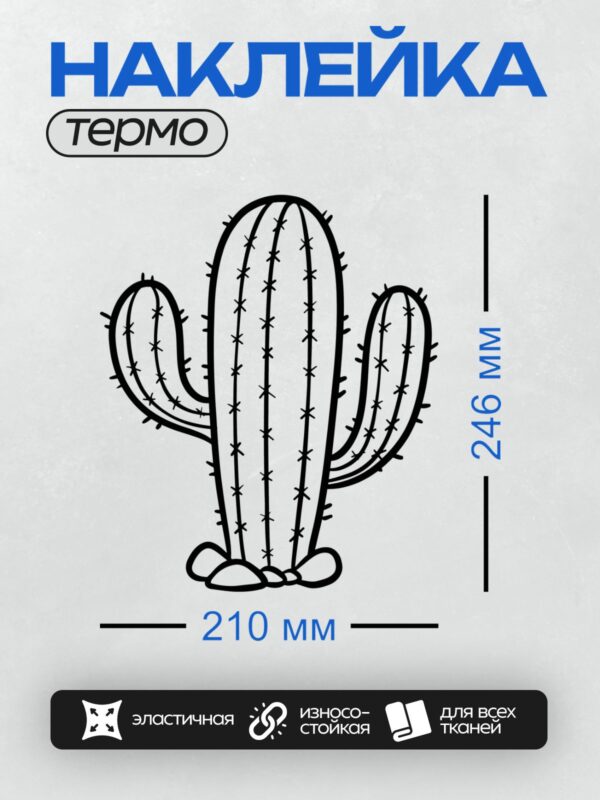 Термонаклейка на одежду DTF / Черный контур кактуса с колючками.
